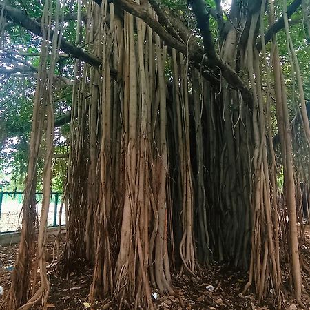 Hampi Anjana Home Stay Luaran gambar