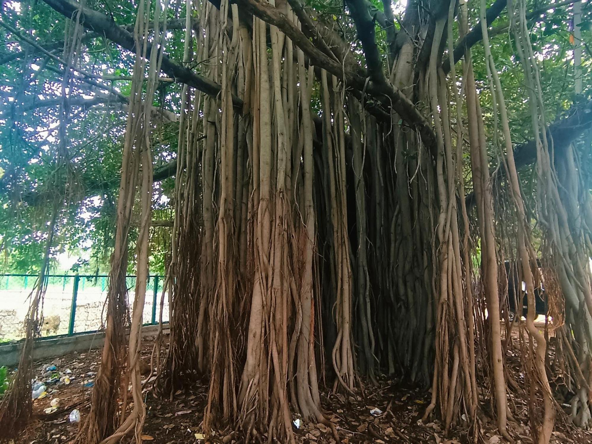 Hampi Anjana Home Stay Luaran gambar